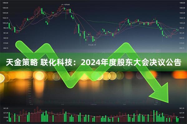 天金策略 联化科技：2024年度股东大会决议公告