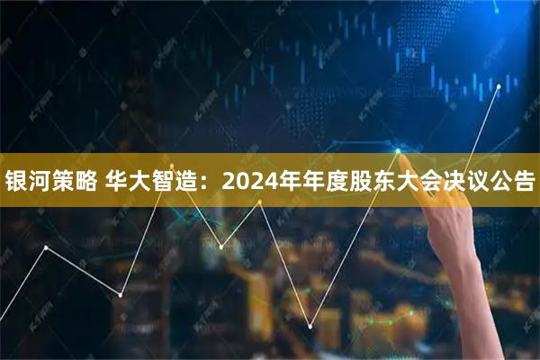 银河策略 华大智造：2024年年度股东大会决议公告