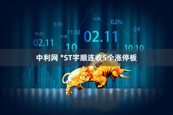 中利网 *ST宇顺连收5个涨停板