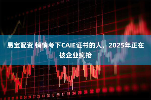 易宝配资 悄悄考下CAIE证书的人，2025年正在被企业疯抢