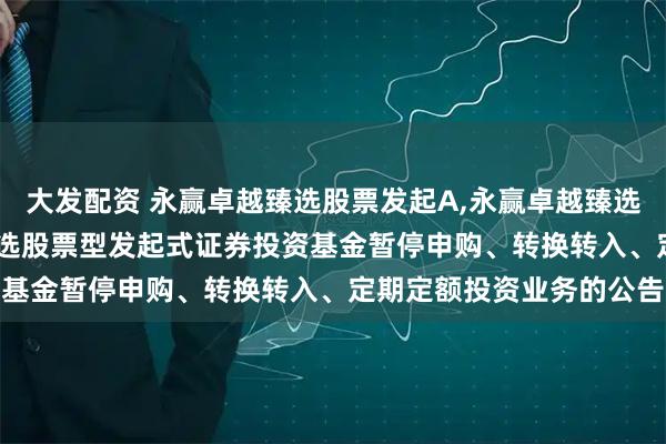大发配资 永赢卓越臻选股票发起A,永赢卓越臻选股票发起C: 永赢卓越臻选股票型发起式证券投资基金暂停申购、转换转入、定期定额投资业务的公告